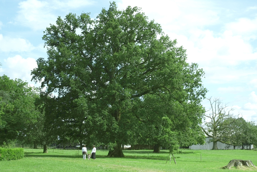 DSCF7729bis.jpg